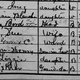 Grover Cleveland Ryman Jr.’s name is misspelled and listed as “ward” alongside his adoptive parents, Bird and Sue Williams, on the 1900 U.S. census.
1900 United States census